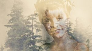 undefined Images